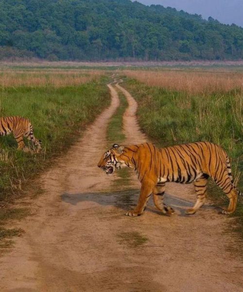 travel planner in chhattisgarh