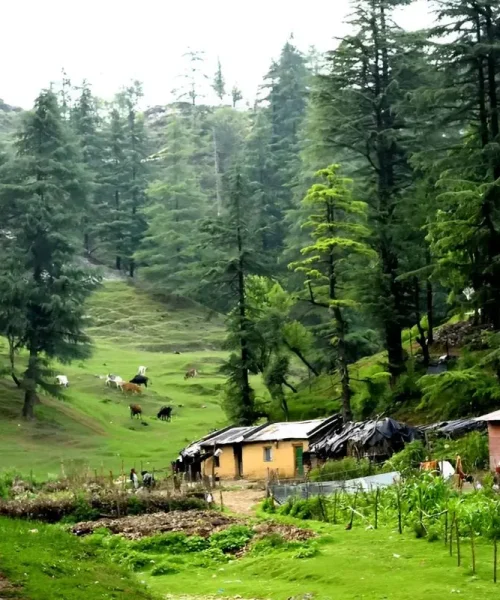 travel planner in chhattisgarh