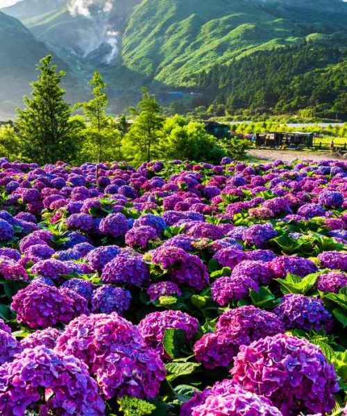 travel planner in chhattisgarh