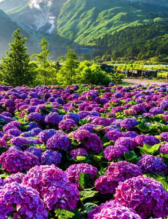 travel planner in chhattisgarh