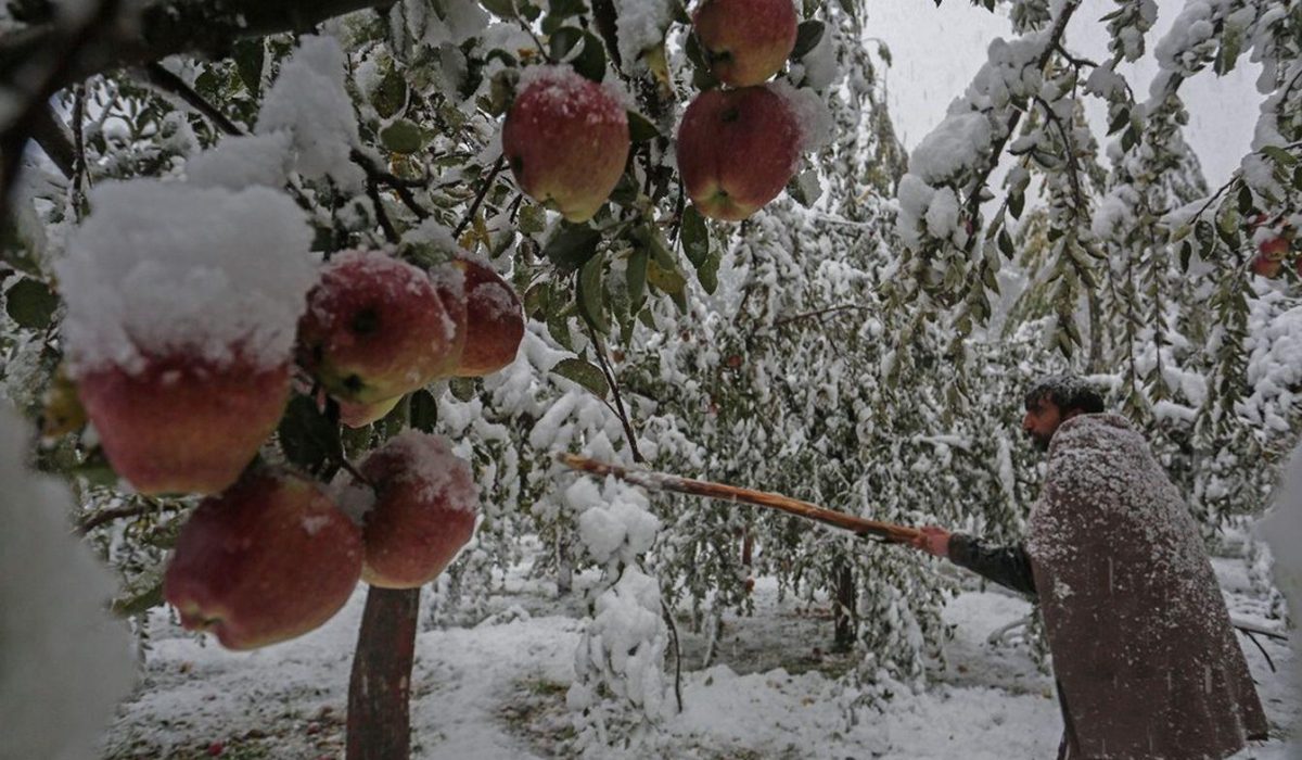 travel planner in chhattisgarh