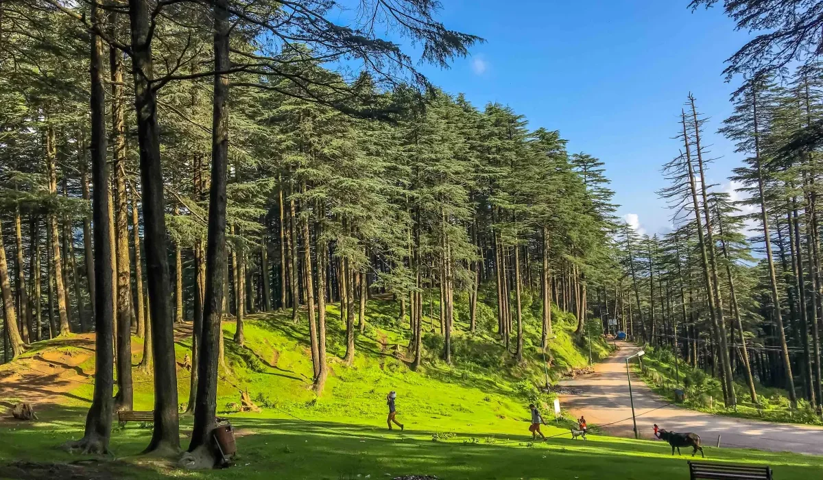 travel planner in chhattisgarh