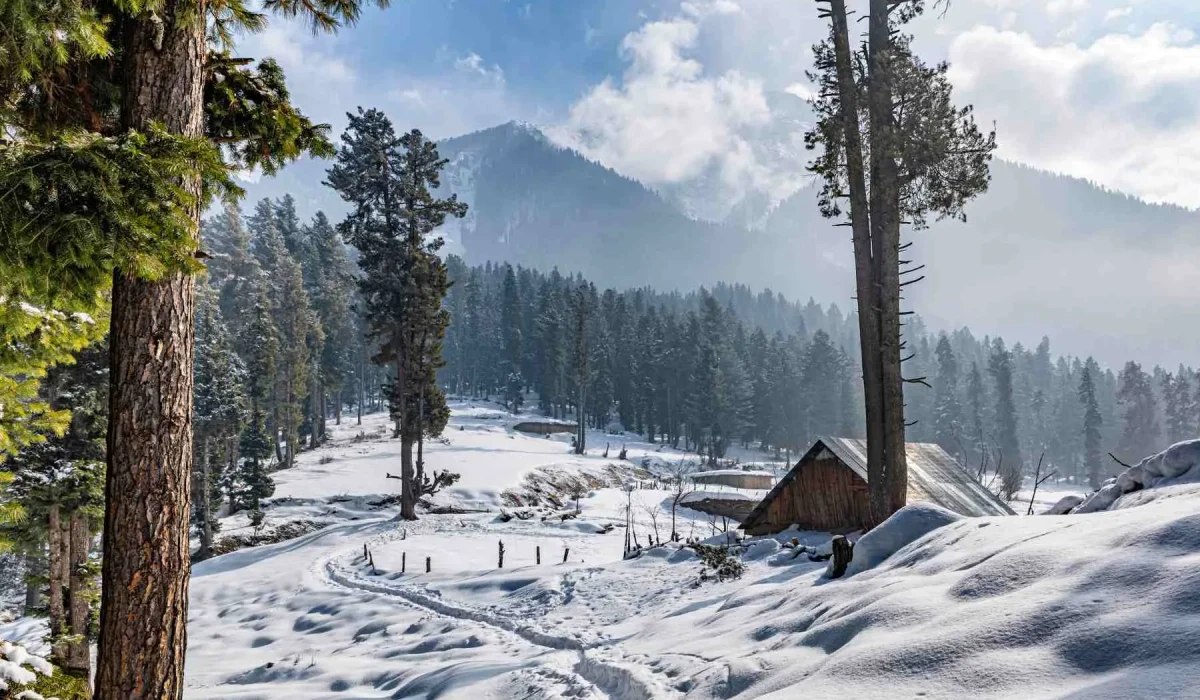 travel planner in chhattisgarh