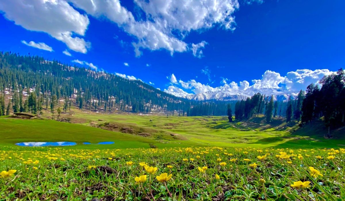 travel planner in chhattisgarh