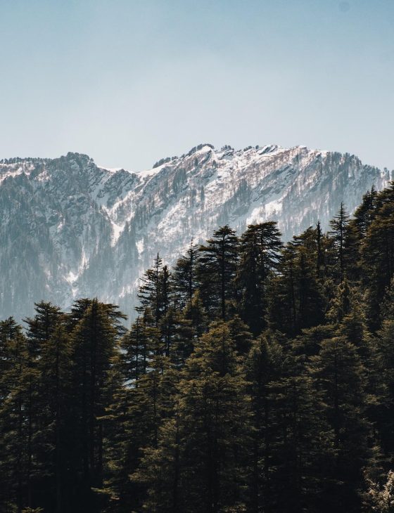 travel planner in chhattisgarh